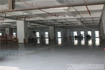 深圳市芬諾科技有限公司