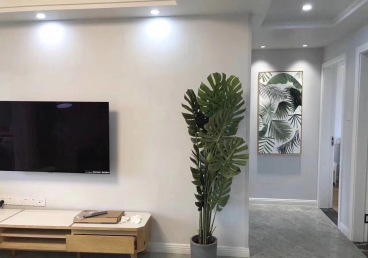 賽納麗城北歐廊道效果圖