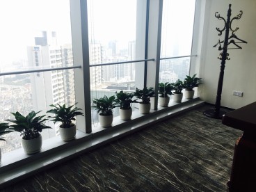 保利威座大廈現(xiàn)代簡約效果圖