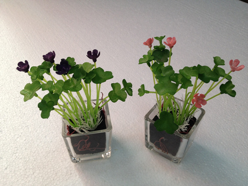 办公室植物摆放