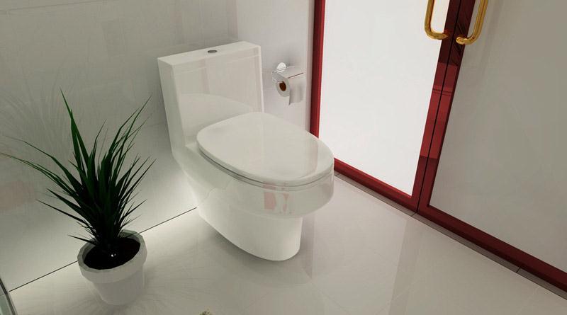 抽水马桶