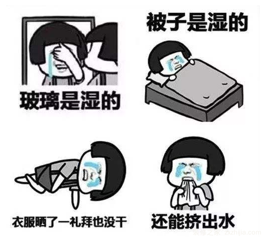 4月觅糖周年庆,福利享不停