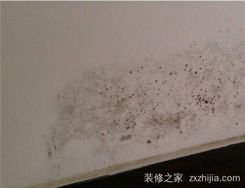 为什么要做黄墙绿地?你知道吗?