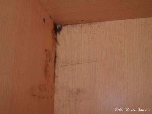 衣柜发霉怎么处理  衣柜如何保养 第1张