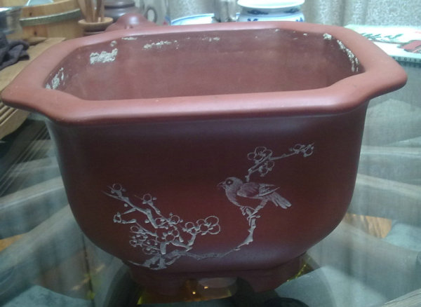 花盆购买