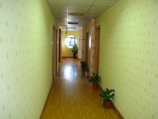 液体墙纸