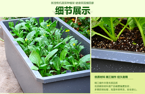 阳台蔬菜架