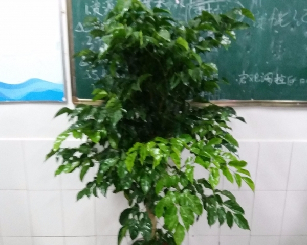 净化空气