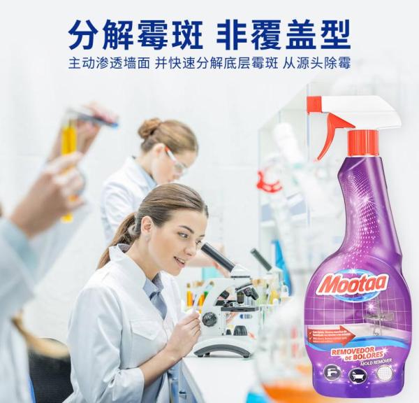 墙体霉菌清除剂