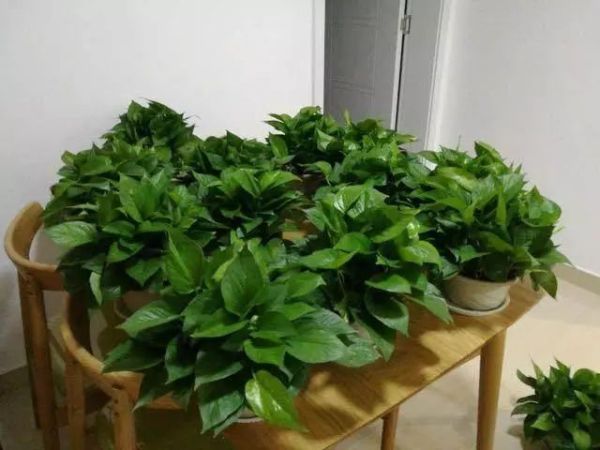 装修好的房子