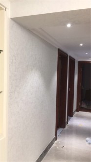 深圳观澜碧桂园-混搭风格-别墅-完工工地-入住