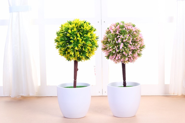 在办公桌养什么植物?有什么品种?