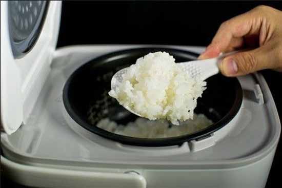 电饭煲哪家好?如何选购电饭煲?