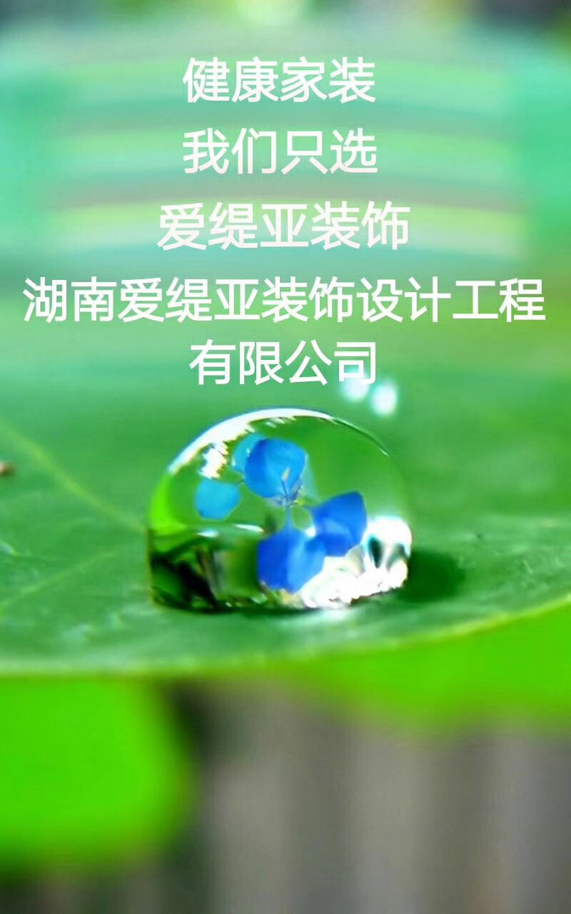 团队介绍