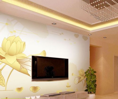 最新客廳電視背景墻圖片 秀出墻面優(yōu)雅范