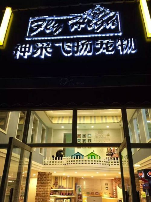 神采飛揚寵物會所-武漢漢街店